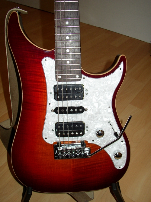 Vigier Excalibur